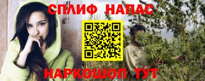 эйфоретик Малгобек