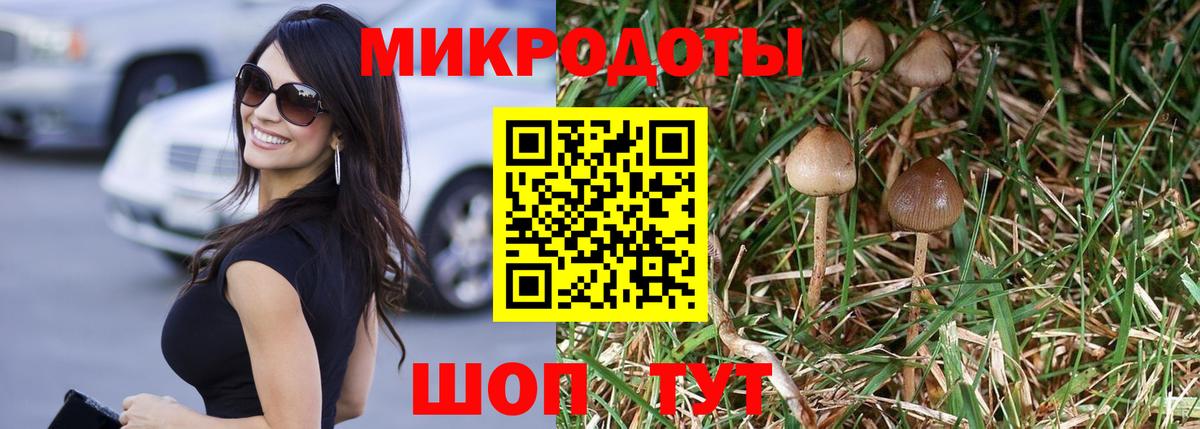 Псилоцибиновые грибы Magic Shrooms Жигулёвск
